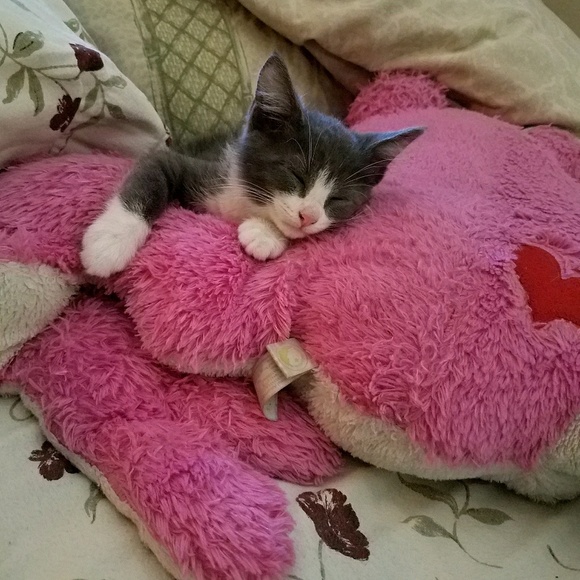 Meet your Posher, Andrea - Picture 1 of 1